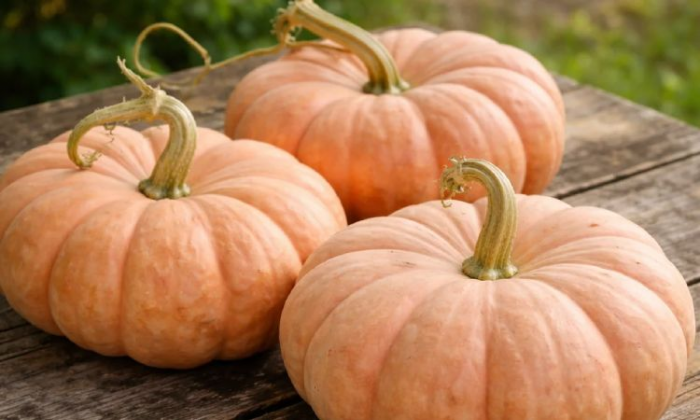7 продуктов, которые обязательно надо есть осенью