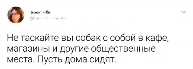 Молодежь рассказала, в чем она согласна со старшим поколением