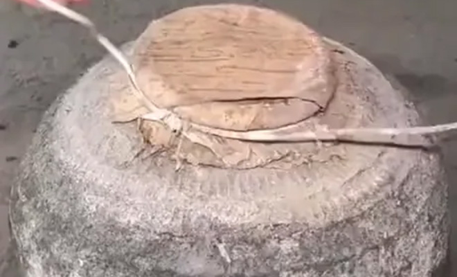 Археологи нашли амфоры с вином возрастом более 100 лет и проверили, остался ли в них напиток