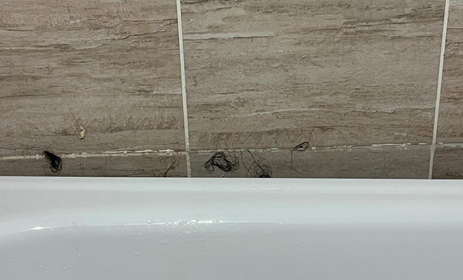 «Сдали приличным девушкам, вот что они сделали». Хозяева показали, почему больше не хотят сдавать квартиру