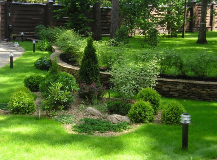 Неприхотливые декоративные кустарники в ландшафтном дизайне: фото и описания (56 фото)