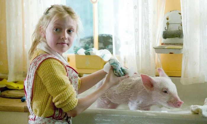 «Уж кто бы говорил», «Паутина Шарлотты» и еще 5 семейных комедий, о которых вы могли забыть