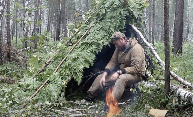 Лесник остался спать в тайге и включил камеру: ночью пришел медведь