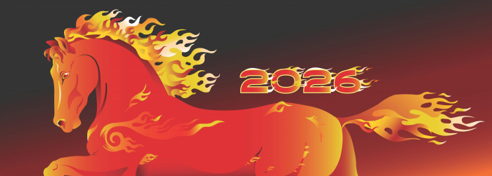 Как правильно встретить 2026-й Новый год Лошади. Цвета и одежда. Что пить и есть. Что подарить. Чего нельзя и что надо делать. Полное руководство