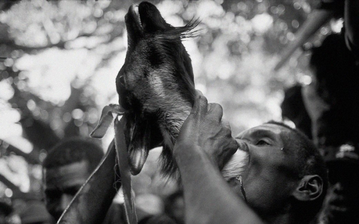 Культ Вуду: вся правда о мрачном наследии шаманов