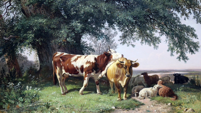 «Человек среди природы так мелок, так ничтожен»: выставка Ивана Шишкина в Русском музее