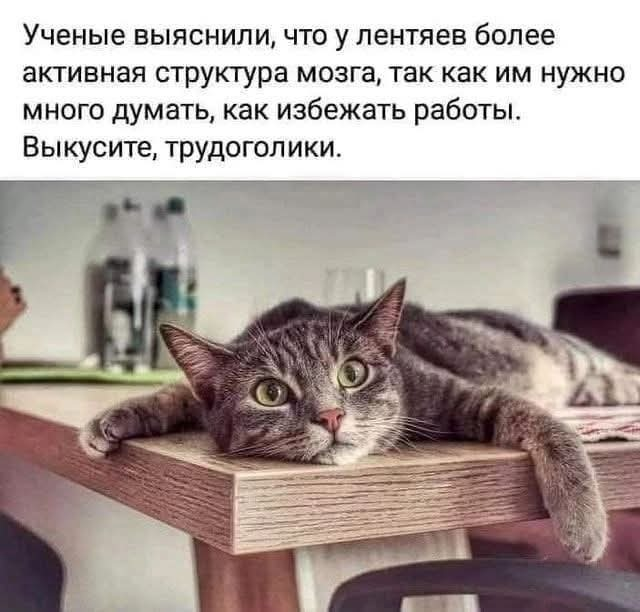 Интернет мемы в понедельник и ретроградный Меркурий