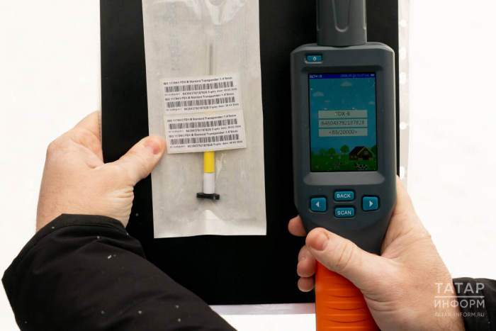 Без регистрации – штраф: как в Казани инспекторы ветслужбы проверили собак на чипы