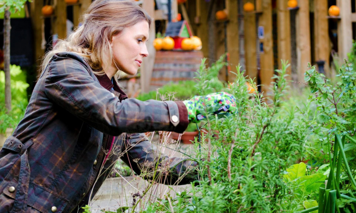 Удивятся даже садоводы со стажем: зачем весной посыпать дачный участок черным перцем