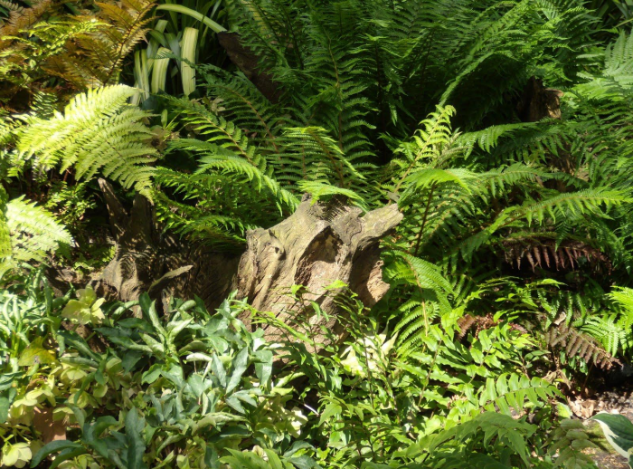 Идеи для сада: простые и оригинальные варианты (65 фото)