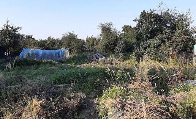 Белорусы решили вместо квартиры построить дачу прямо в городе: настолько понравилось, что потом переехали насовсем