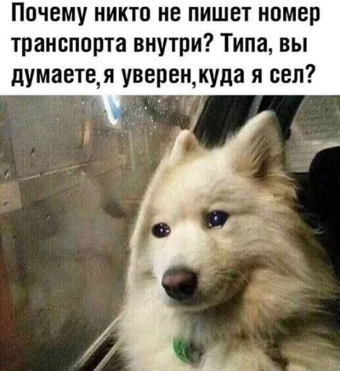 Юмор для тех, кто уже повзрослел и понял, что выходные — это миф