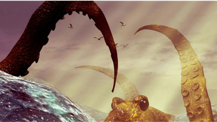 Ученые выяснили почему кашалоты и киты боятся кальмаров