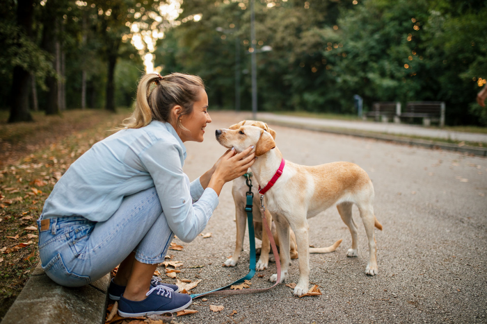Догситтеры: как выбрать пёсью няню и не пожалеть