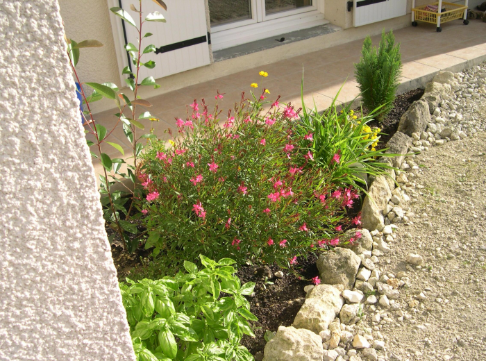 Клумба для дачи: как своими руками создать цветочный оазис (60 фото)