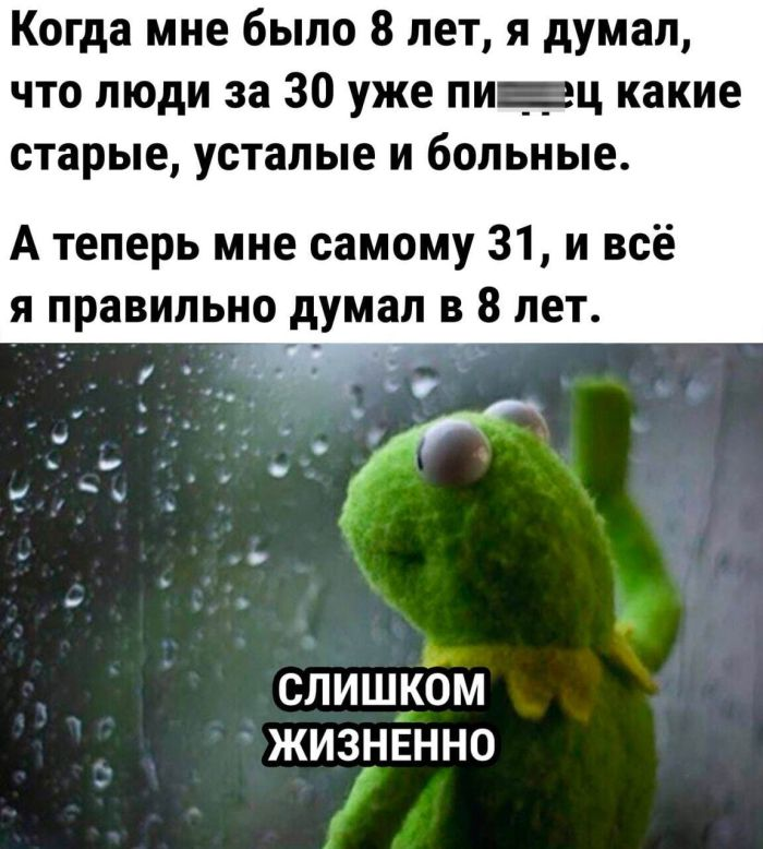 Не важно, с какой ноги ты встал. Главное, не на кота... (всякие картинки для развлечения и похудения)