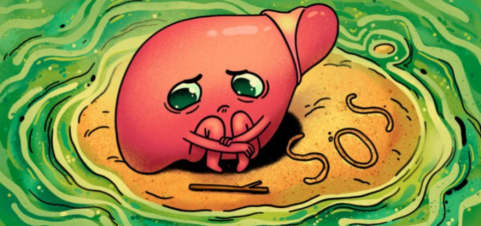 Что делать при алкогольном отравлении