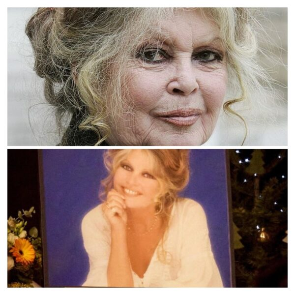 Брижит Бардо ненавидела беременность и отказалась от сына: самая темная глава ее жизни