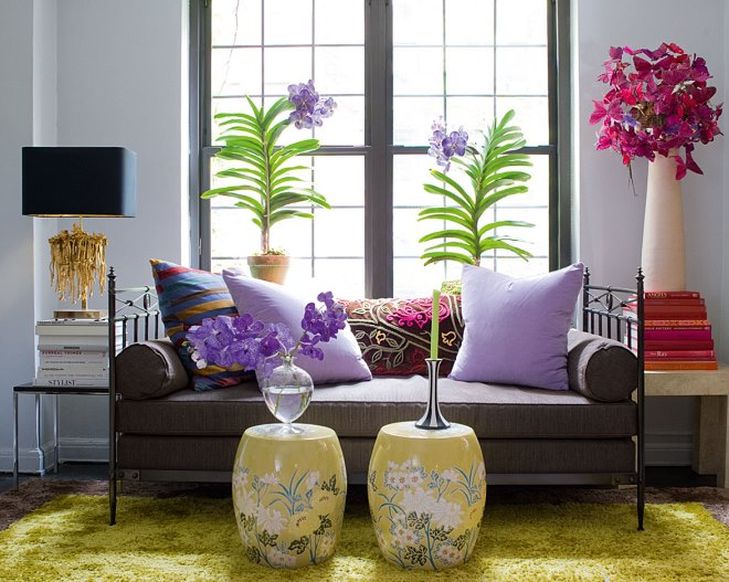 Комнатные растения в интерьере квартиры (112 фото)