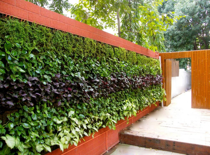 Клумба для дачи: как своими руками создать цветочный оазис (60 фото)