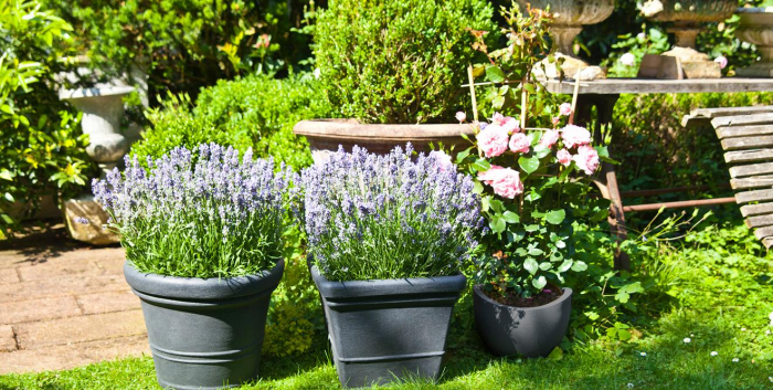 Идеи для сада: простые и оригинальные варианты (65 фото)