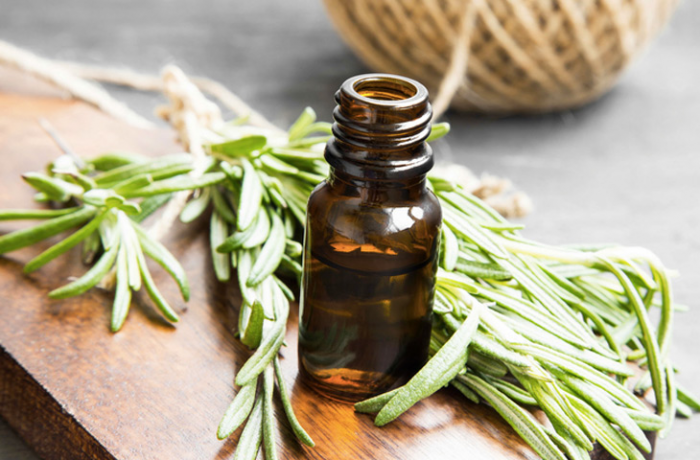 Скрытая польза розмарина