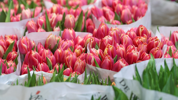 Как собрать красивый и недорогой букет: ТОП‑5 стойких цветов, которые не завянут быстро