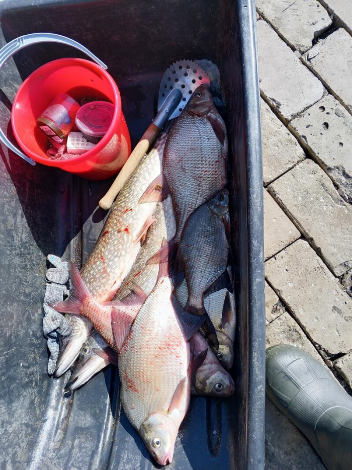 Рыбаки Алтайского края показали солидные последние уловы марта