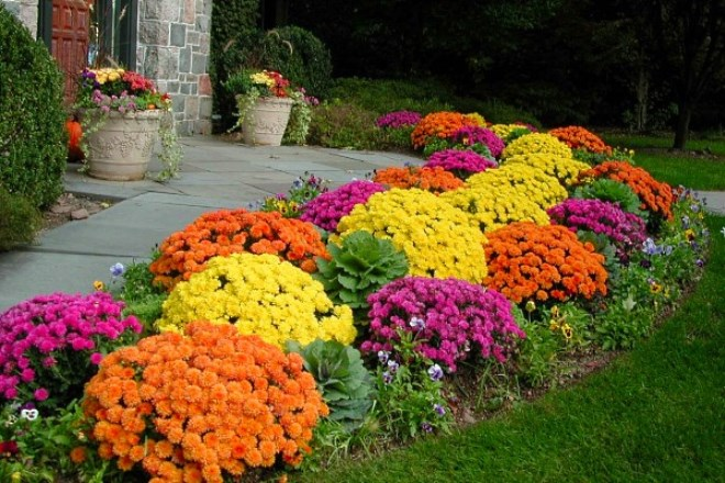 Идеи для сада: простые и оригинальные варианты (65 фото)