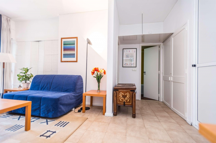 Как обустроить однокомнатную квартиру: планировка, отделка, цвет, свет (64 фото)