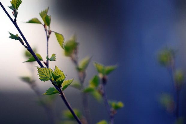 Как покрасить яйца на Пасху: 17 способов получить красивые оттенки и узоры