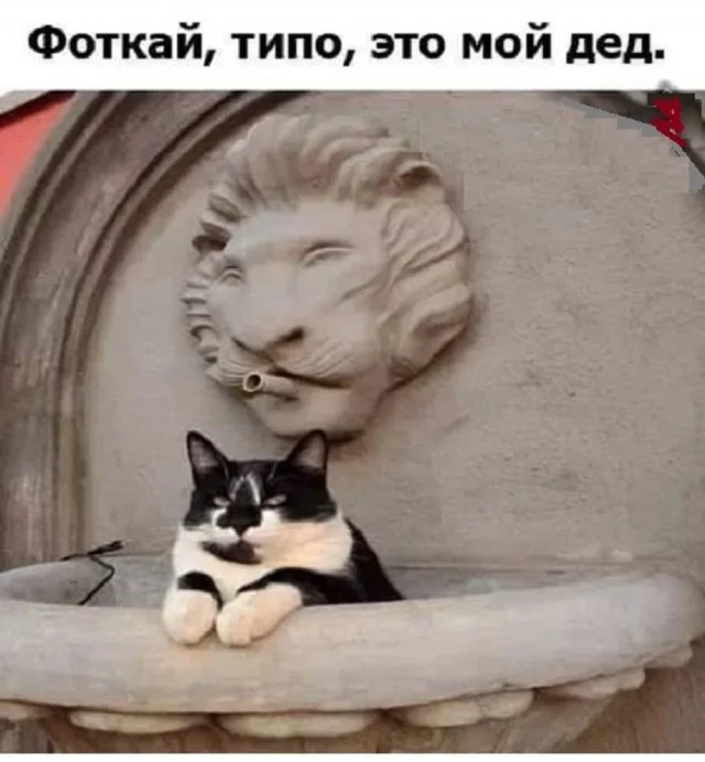 Интернет мемы в понедельник и ретроградный Меркурий