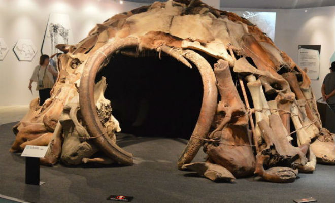 Под Воронежем нашли сооружение, сложенное из костей 60 мамонтов. Постройку оценивают в 25000 лет