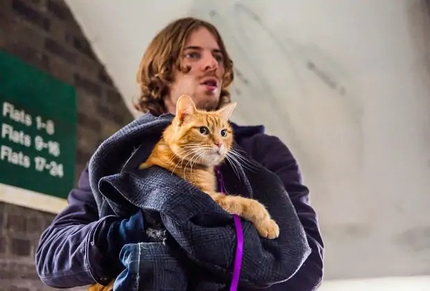 Лучшие фильмы про животных: 15 кинолент с высоким рейтингом