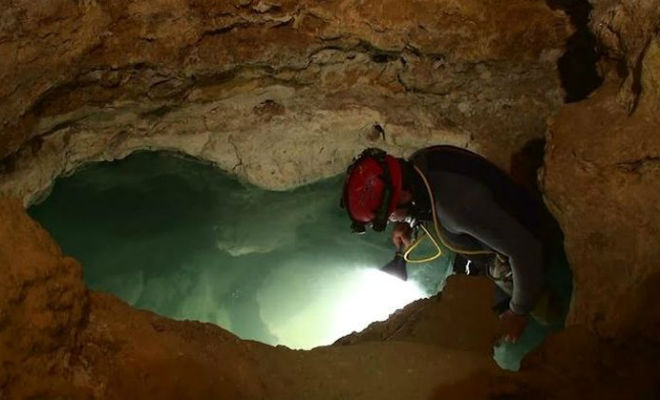 Пещера была запечатана 500 тысяч лет: ученые пробились через породу и нашли организмы, которым не нужен свет