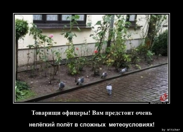 Демотиваторы для всех: «Не падай духом где попало…»