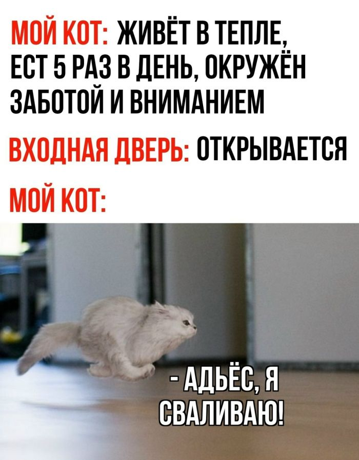 Интернет мемы в понедельник и ретроградный Меркурий