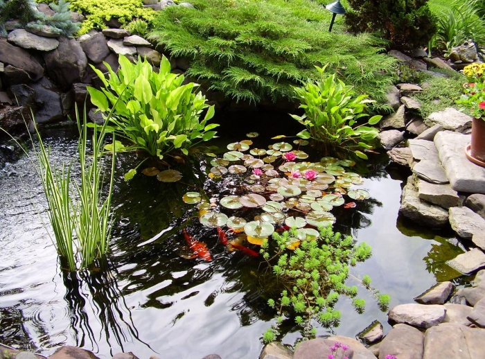 Идеи для сада: простые и оригинальные варианты (65 фото)