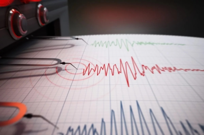 Развожаев: в Чёрном море у Севастополя произошло землетрясение