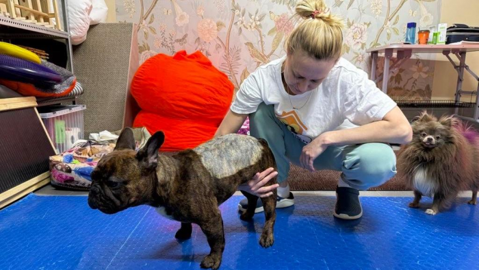 «Желание спасти сиротку — плохой советчик»: как работает приют для собак и кто (не) может забрать питомца домой