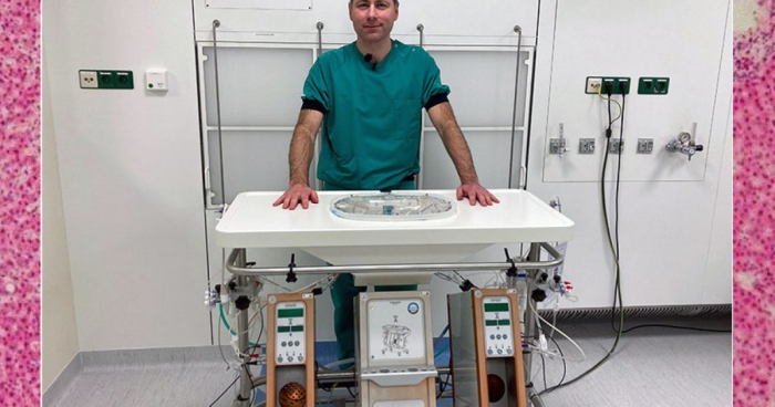 Ночная машинная перфузия донорской печени позволила перенести больше пересадок в дневное время