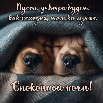 Открытки с пожеланием спокойной ночи: 100+ красивых картинок