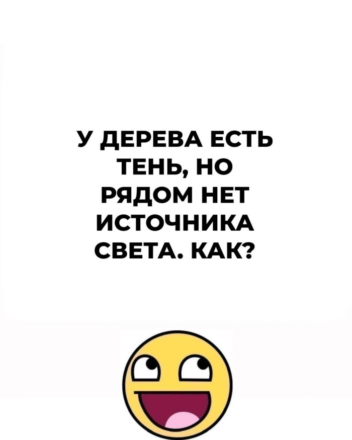 Не дай мозгу обмануть тебя: 15 загадок на логику