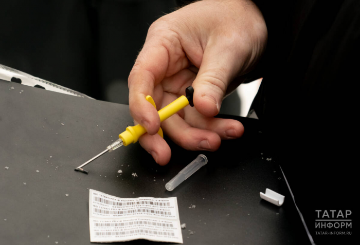 Без регистрации – штраф: как в Казани инспекторы ветслужбы проверили собак на чипы