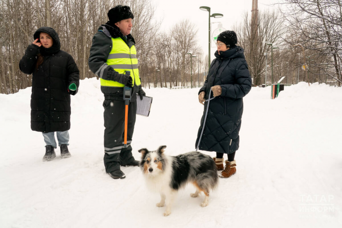 Без регистрации – штраф: как в Казани инспекторы ветслужбы проверили собак на чипы