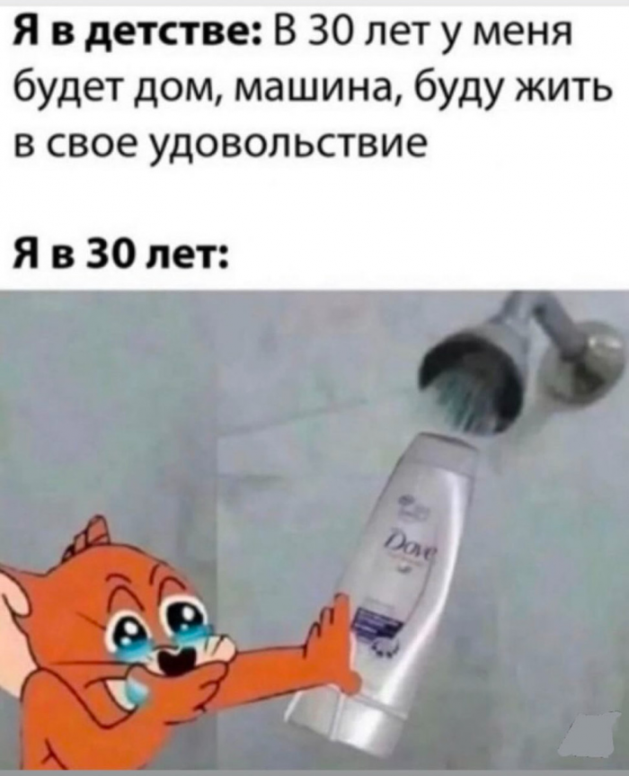 Юмор за день и старые друзья