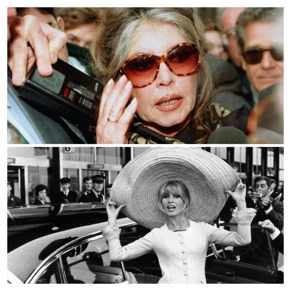 Брижит Бардо ненавидела беременность и отказалась от сына: самая темная глава ее жизни