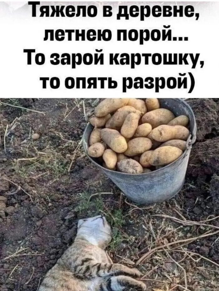 Юмор, шутки, весёлые истории про нас, самых лучших