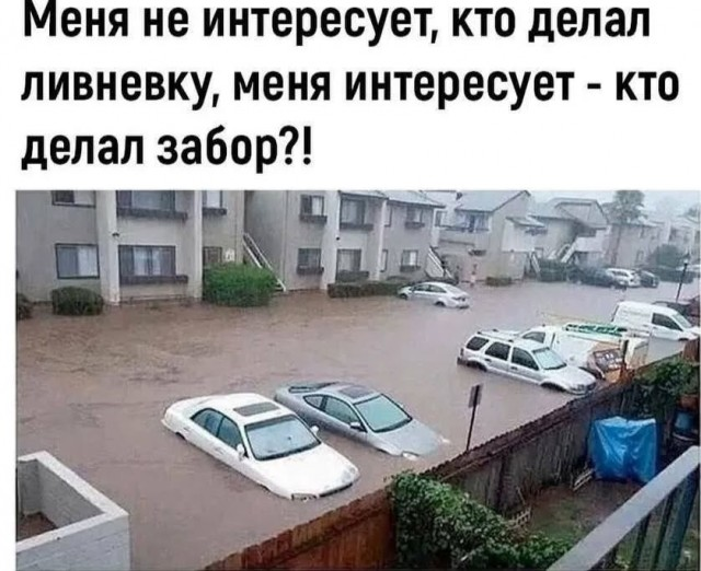 Мне кажется, что если в меня ткнуть палочкой, из меня потечёт стресс... (веселые картинки)