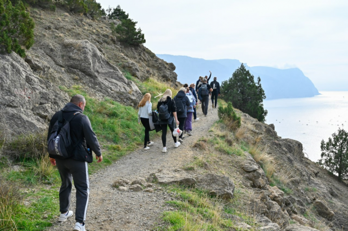 Погода 19 декабря: днём до +12